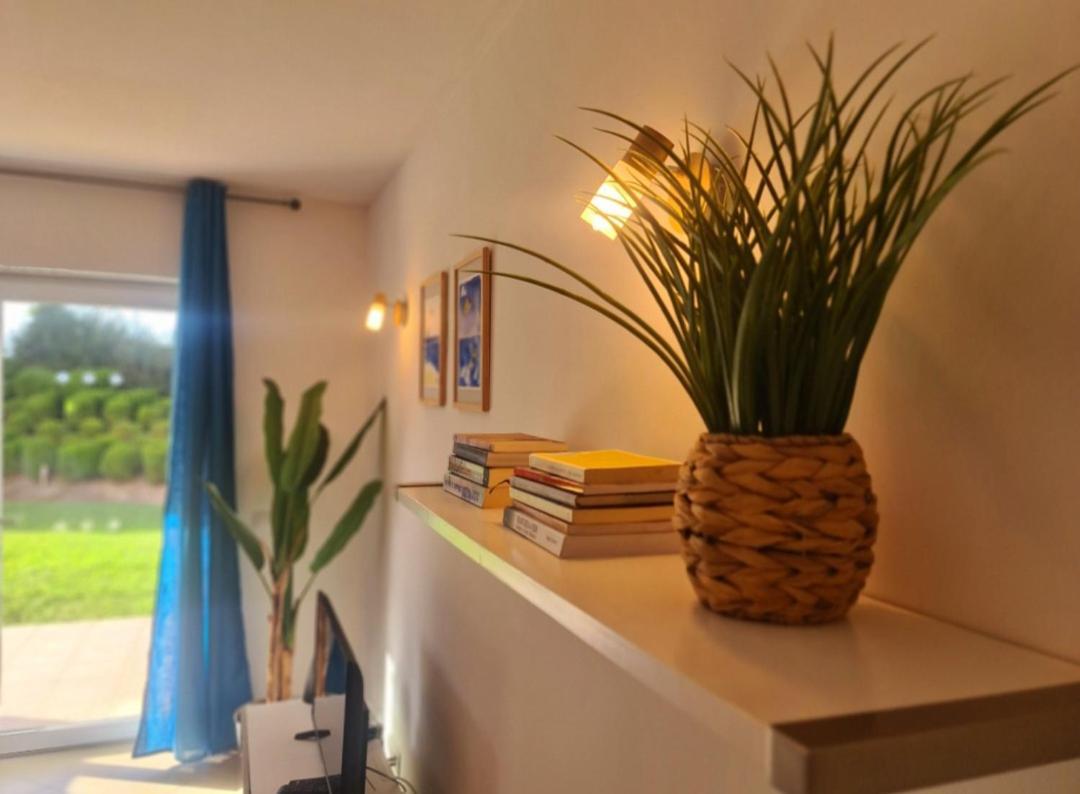 Garden By Hnm Cabanas De Tavira